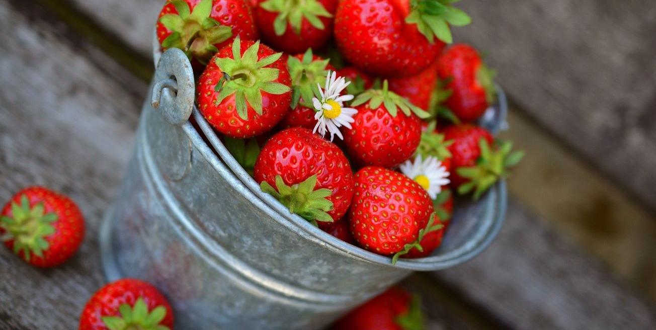 Fraises dans sceau en fer