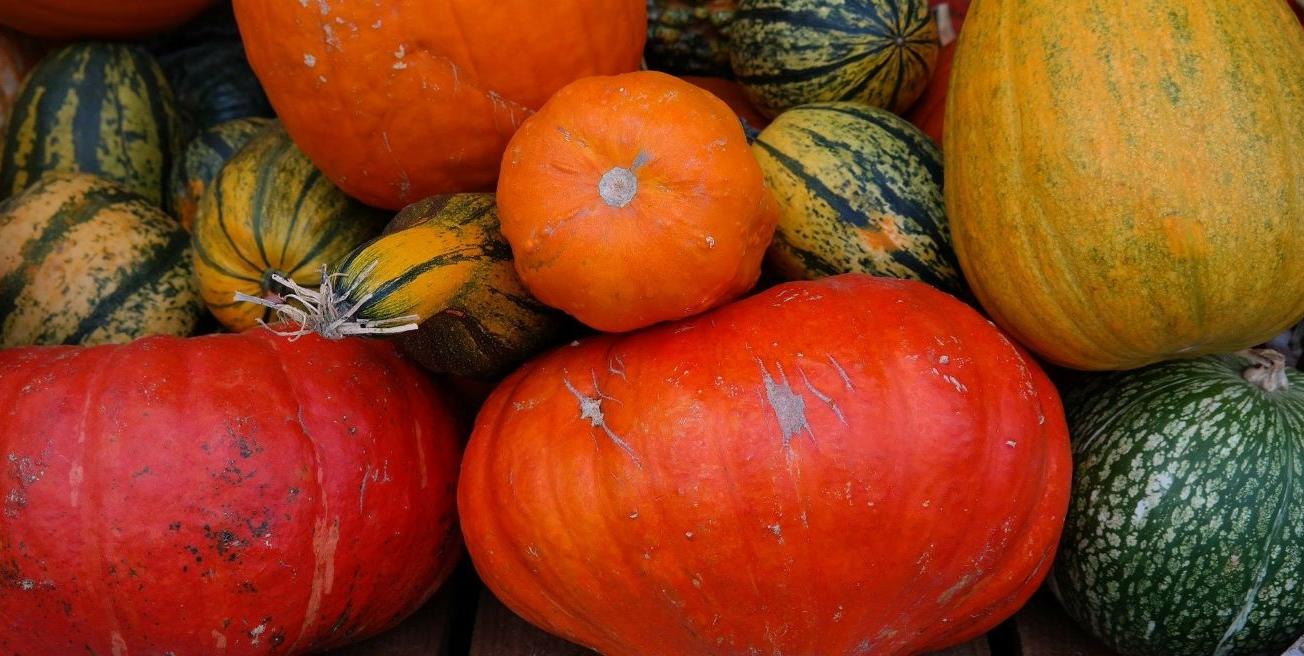 Assortiment de courges et potimarrons