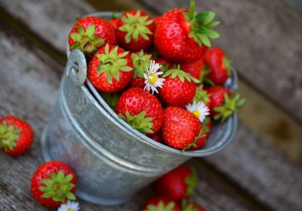 Fraises dans sceau en fer