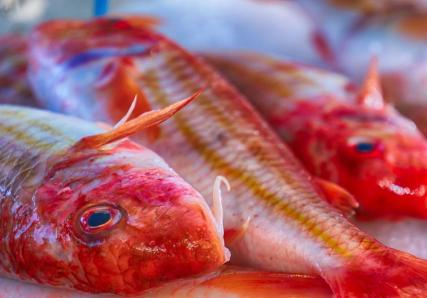 Rougets sur un étal de poissonier